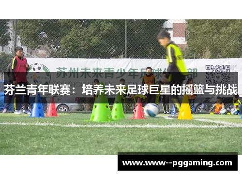 芬兰青年联赛:培养未来足球巨星的摇篮与挑战 芬兰青年联赛:培养未来足球巨星的摇篮与挑战
