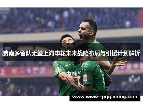 费南多留队无望上海申花未来战略布局与引援计划解析 费南多留队无望上海申花未来战略布局与引援计划解析