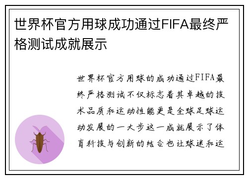 世界杯官方用球成功通过FIFA最终严格测试成就展示